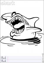 coloriage-requin-2